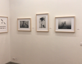 galleria ceribelli2